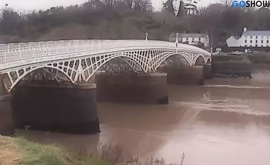 Wojskowe dziewczyny bawią się chujami