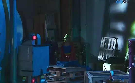 Kocice i samce na planie filmowym